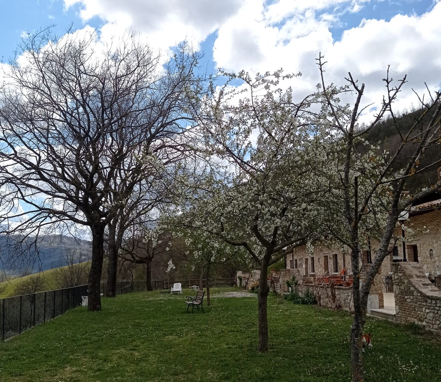 castel_di_tora_agriturismo_le_cascine_giardino_con_vista_panoramica