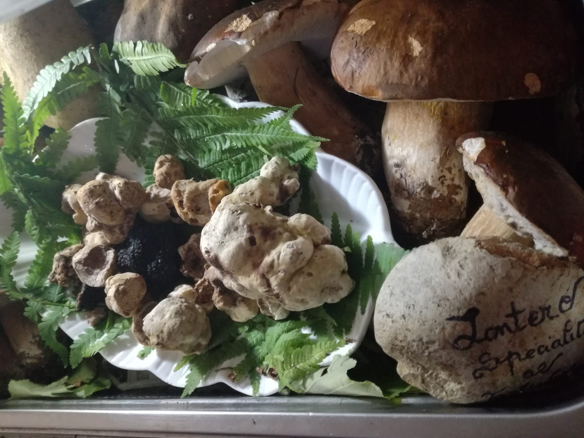 paganico_sabino_ristorante_lontero_specialita_di_porcini_e_tartufi