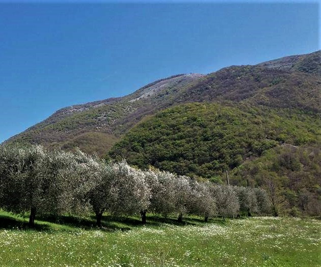 castel_di_tora_agriturismo_la_posta_ulvieto