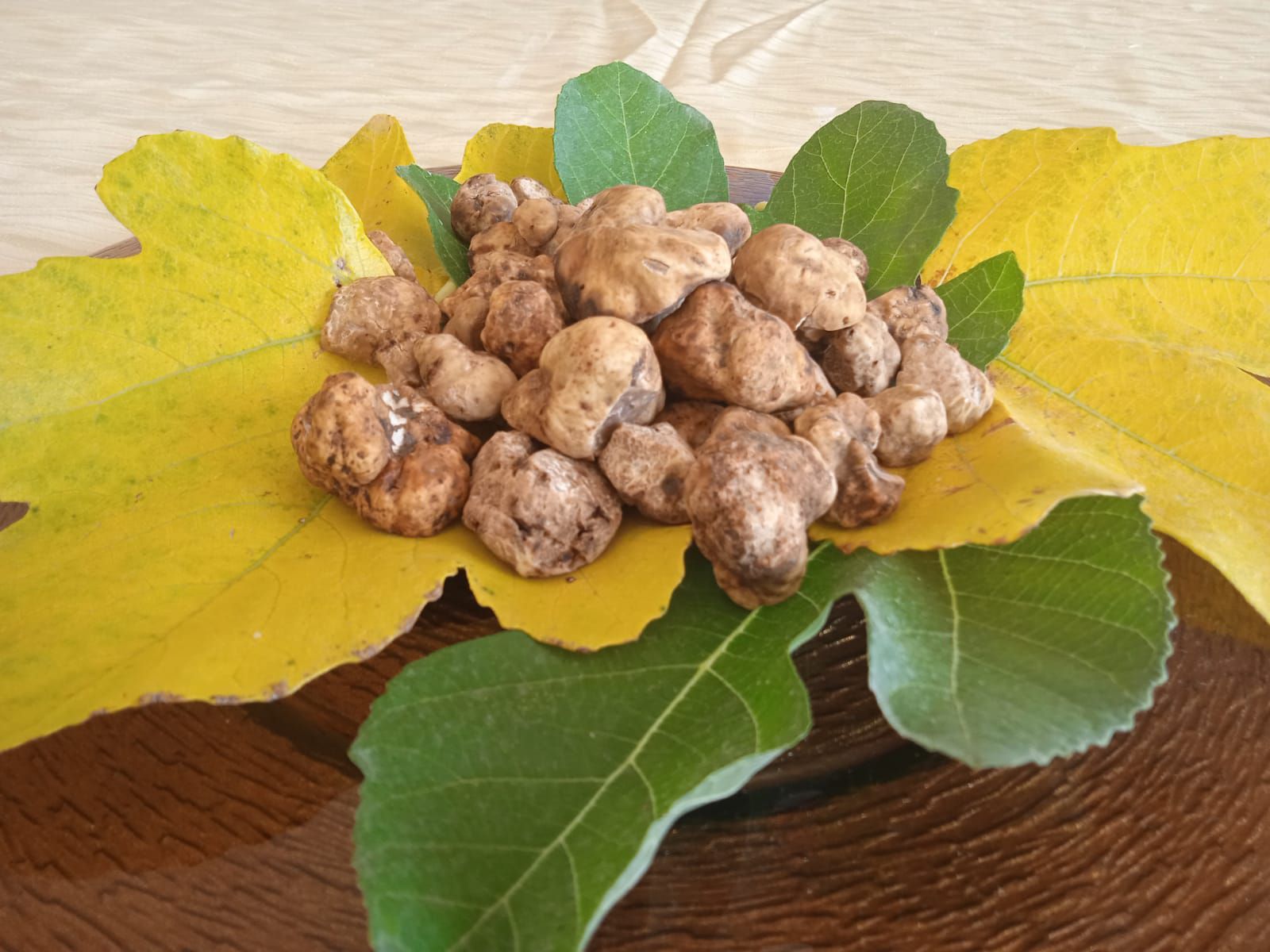 il tartufo 6